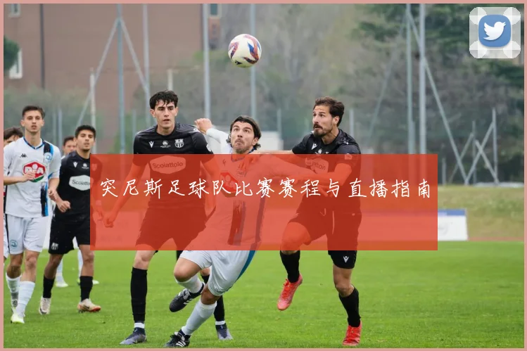 突尼斯足球队比赛赛程与直播指南
