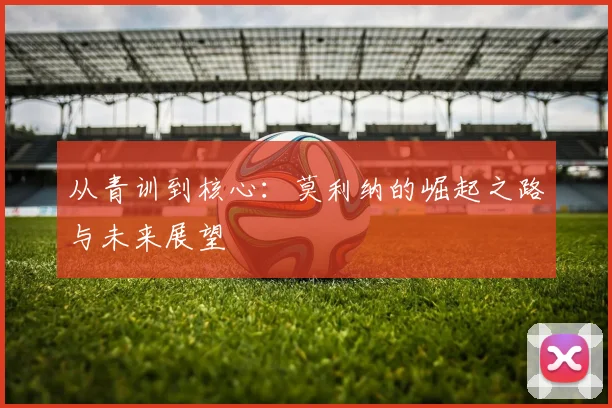 从青训到核心：莫利纳的崛起之路与未来展望